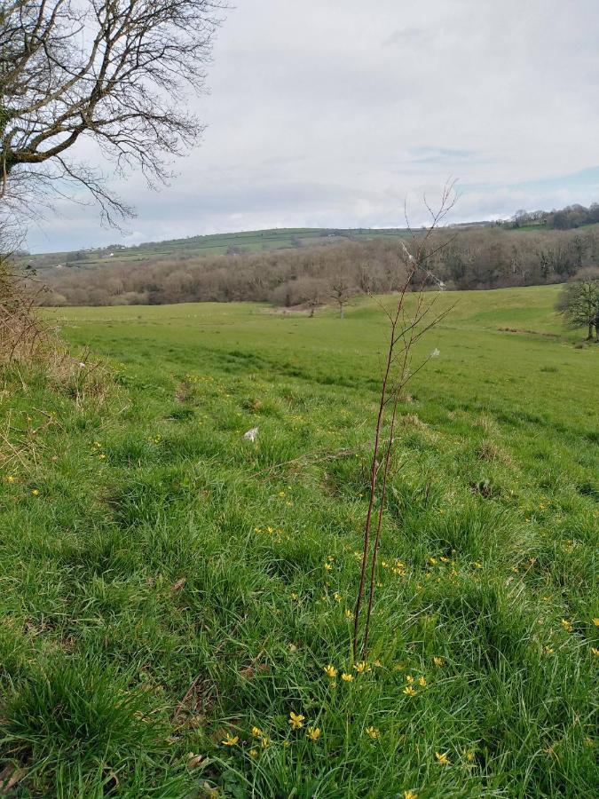 The Mill Cottage Llechryd 外观 照片