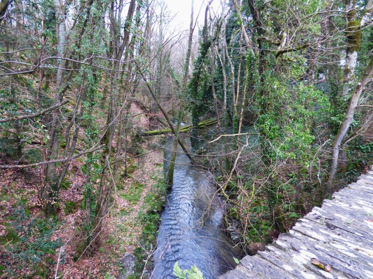 The Mill Cottage Llechryd 外观 照片
