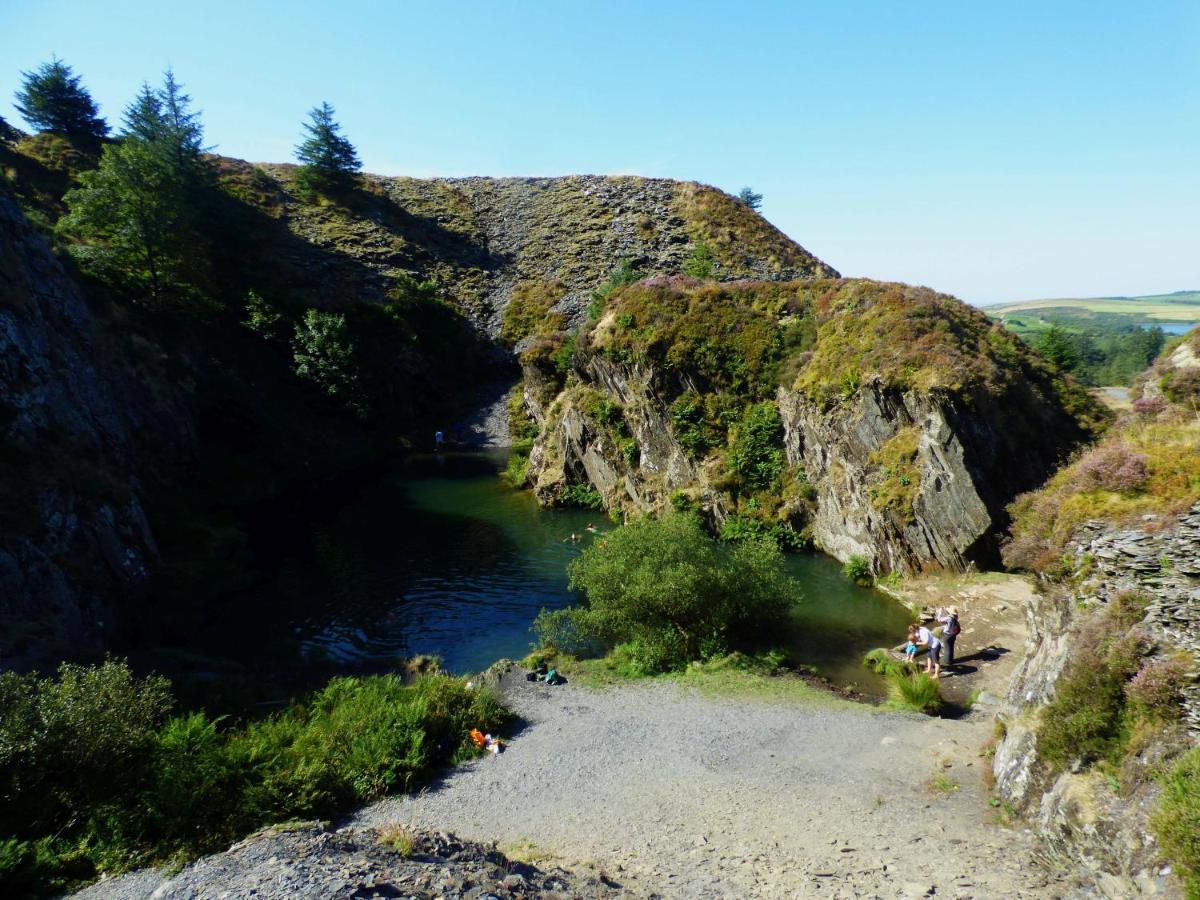 The Mill Cottage Llechryd 外观 照片